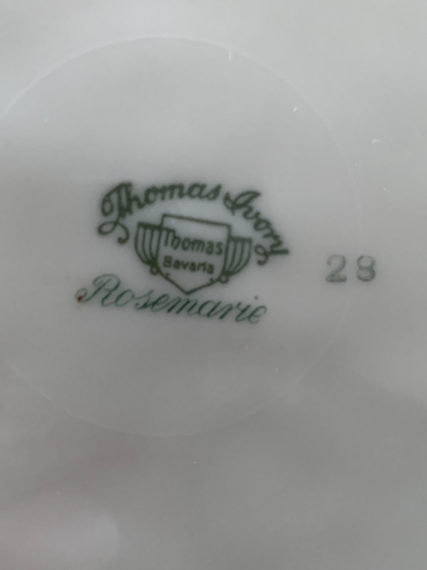 Thomas Ivory Dinner Plates
